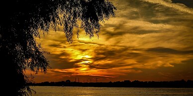 Delta Boutique & Carmen Silva Resort