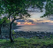 Driftwood Hostel and Bungalows