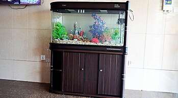 Precious Guest lodge