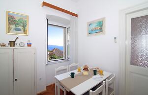 Vicina Summer Apartments