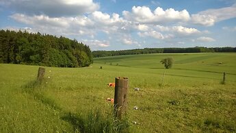 Ferienwohnung Maria Waldblick