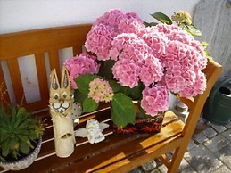 Ferienwohnung Maria Waldblick