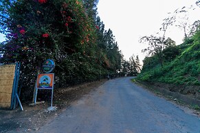 The Palm Beach Resort