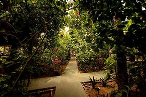 Na Villa dos Algodões