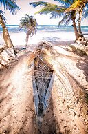 Na Villa dos Algodões