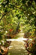 Na Villa dos Algodões