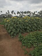 Zanzibar Dream Lodge