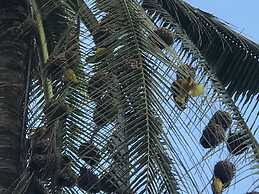 Zanzibar Dream Lodge