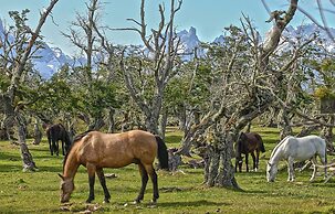 Pampa Lodge Quincho y Caballos