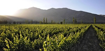 Hotel Casa Real Viña Santa Rita