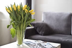 Rint - Centrum Nowy Świat