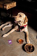 MOXY London Heathrow Airport