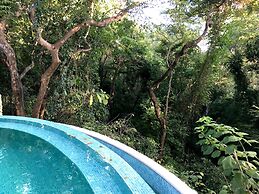 Driftwood Glamping and Boutique Hotel