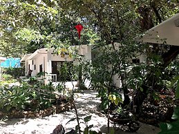 Driftwood Glamping and Boutique Hotel