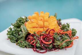 Driftwood Glamping and Boutique Hotel