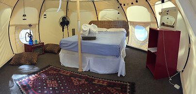 Driftwood Glamping and Boutique Hotel