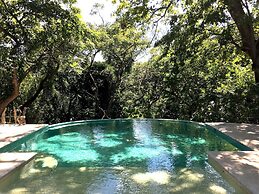 Driftwood Glamping and Boutique Hotel