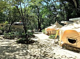 Driftwood Glamping and Boutique Hotel