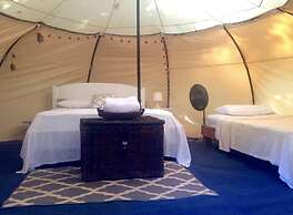 Driftwood Glamping and Boutique Hotel