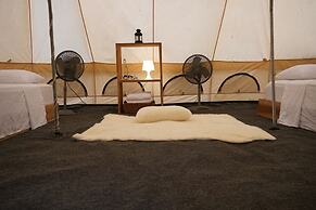 Driftwood Glamping and Boutique Hotel