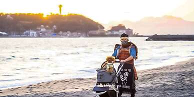 Guesthouse irodori Kamakura