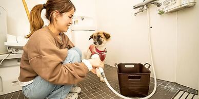 Guesthouse irodori Kamakura