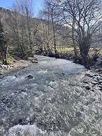 Abant Dort Mevsim Konagi