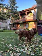 Abant Dort Mevsim Konagi