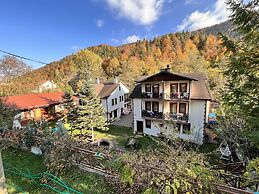 Abant Dort Mevsim Konagi