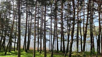 Abant Dort Mevsim Konagi