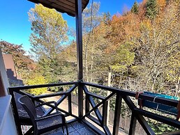 Abant Dort Mevsim Konagi