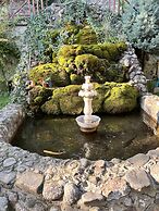 Abant Dort Mevsim Konagi