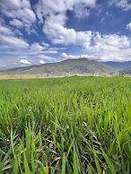 Abant Dort Mevsim Konagi