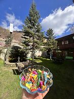 Abant Dort Mevsim Konagi