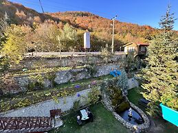 Abant Dort Mevsim Konagi