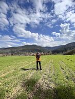 Abant Dort Mevsim Konagi