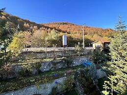 Abant Dort Mevsim Konagi