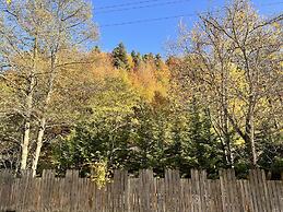 Abant Dort Mevsim Konagi