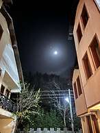 Abant Dort Mevsim Konagi