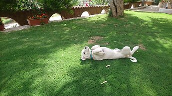 Sirince Klaseas Hotel & Restaurant