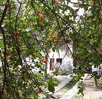 Pousada Brisa Del Mar