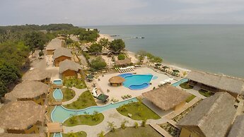 La Baie des Tortues Luth