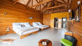 La Baie des Tortues Luth