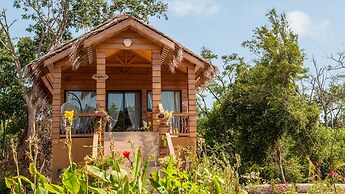 La Baie des Tortues Luth