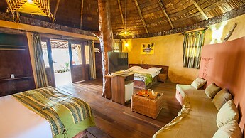 La Baie des Tortues Luth