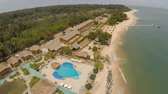 La Baie des Tortues Luth