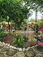 Buddha Retreat Hotel