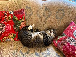 Wisteria Guest House