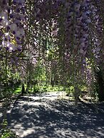 Wisteria Guest House