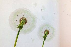 Flower Time Homestay